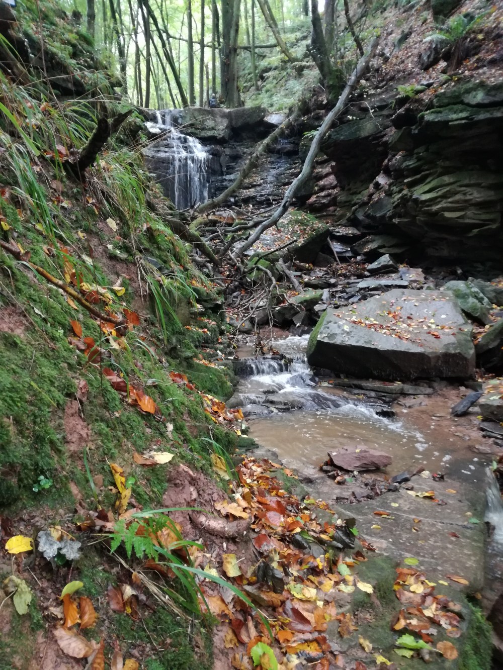 Wie an weißen Fäden zieht das Wasser die Margarethenschlucht hinunter.