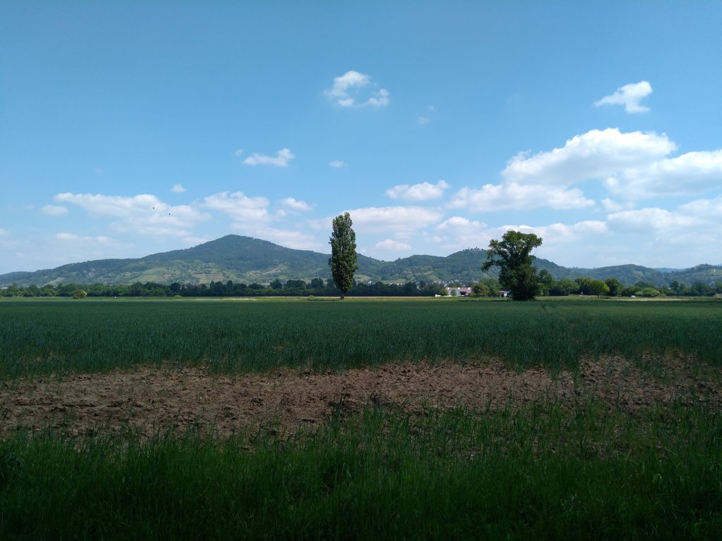 Der Odenwald von der Rheinebene aus betrachtet.