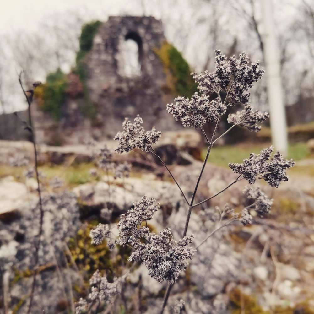 Odenwald: Irrungen und Wirrungen